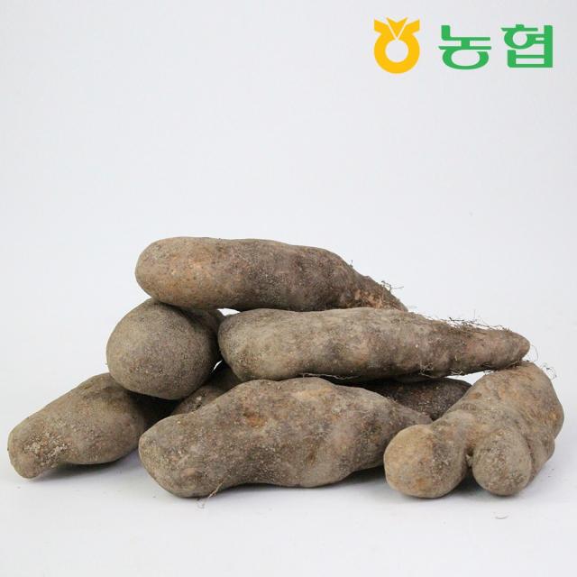 삼촌밥먹자 북안동농협 국산 안동 산마 중 2kg 3kg 5kg 산마 중 5kg