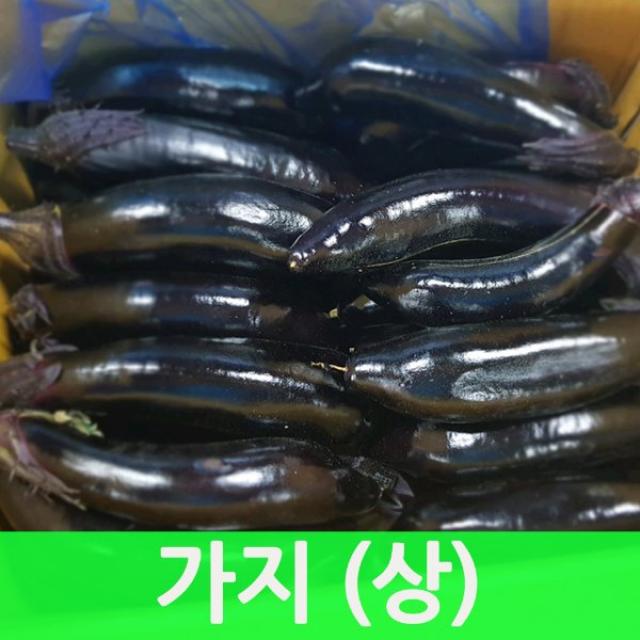 싱싱한 가지5kg(상품)1박스 생가지, 가지5kg(상품)