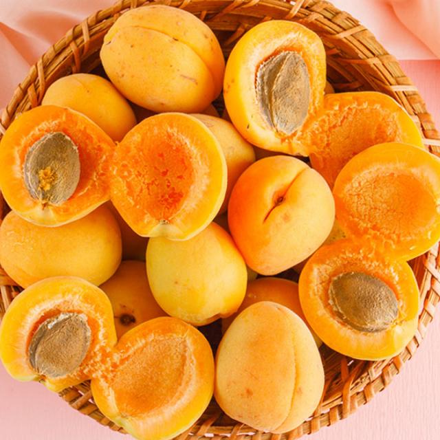영화농산 특급 살구 4kg 나무 종류 재배 영천 가격 건살구 왕살구 산지 유통 시세 공동 선별 직판장 직거래 지역 제철 계절 농장 의성 김천 농협 묘목 나무 판매 도매 후숙 농원