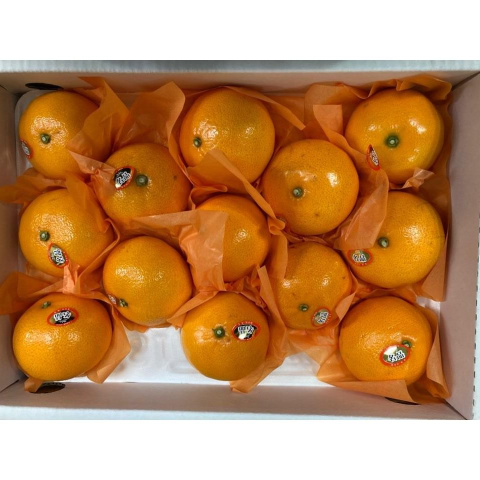 과일백화점 제주도 고당도 천혜향 서귀포 한박스 3kg 달달한 만감류