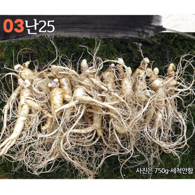 삼키우는마을 고려수삼 세척 무세척 수삼 가정용 03.난25 750g 무료세척