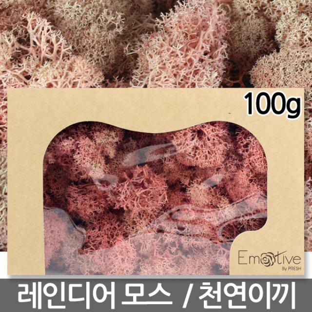 레인디어모스 브라운 100g - 천연이끼 이끼 모스 이끼식물 생이끼 갈색이끼 고급이끼 고동색이끼, 07_레인디어모스_핑크(100g)