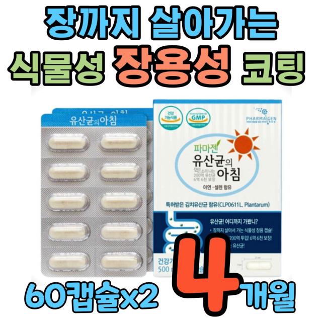 장까지 살아 가는 프로 바이틱스 식물성 장용성 캡슐 위산에 강한 녹지않는 락토바실러스 플란타럼 유당불내증 유당없는 김치 유산균 장관리복합 식품 배 복부 장 에가스찰때 잦은 방귀, 60정, 2박스