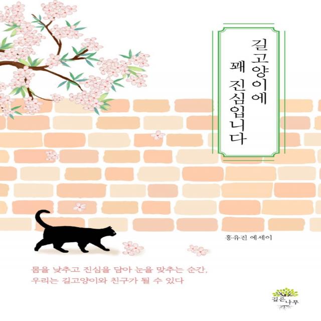 길고양이에 꽤 진심입니다, 깊은나무, 홍유진