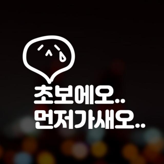 윈스턴 초보운전 아이가타고있어요 아이먼저 극한초보 차량스티커 40종, 1개, 24.동글-초보-블랙