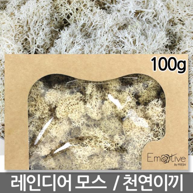 레인디어모스 블루 100g - 천연이끼 이끼 모스 이끼식물 생이끼 파란이끼 파란색이끼 고급이끼, 13_레인디어모스_화이트(100g)