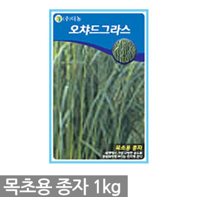 캔터키31톨페스큐 잔디씨앗 1kg - 잔디씨 잔디 씨 씨앗 양잔디 한국잔디 들잔디 경기장 비행장 골프장 공원 목초용 풀씨, 01_다농_오차드그라스(1kg)