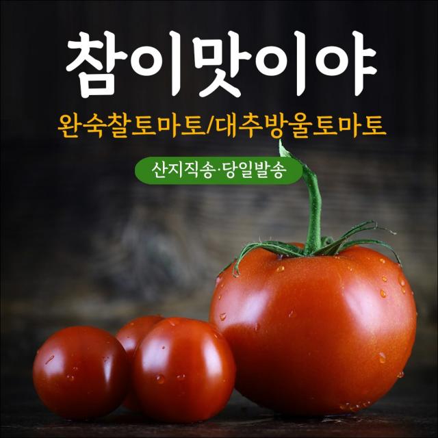 직접생산한 대추방울토마토 유럽종 동양종 완숙토마토, 1box, 동양종 완숙 찰토마토 3kg - 중과