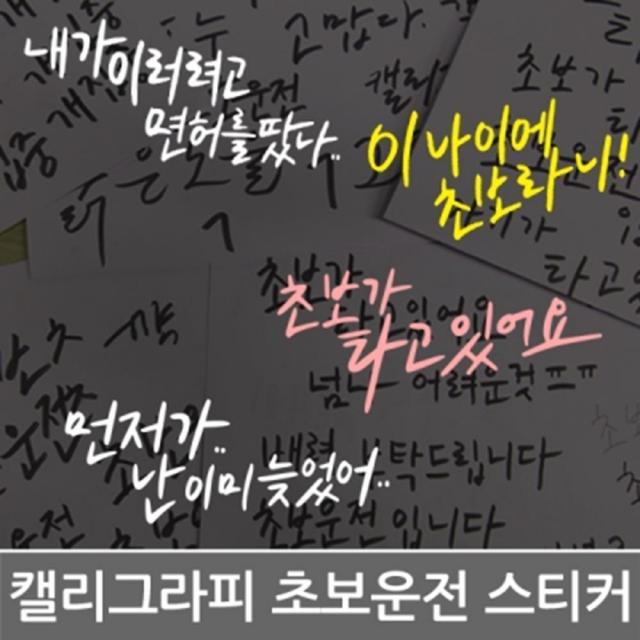 패션 캘라그라피 초보운전 문구 스티커 14종 디자인up 노자국 알림판, 회색, 차를..괜히샀어..