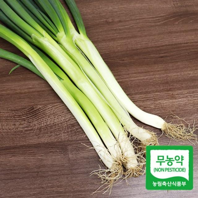 빛고을장터 국내산 무농약 대파 3kg 1kg내외 1봉 01_무농약 대파 특/1kg 