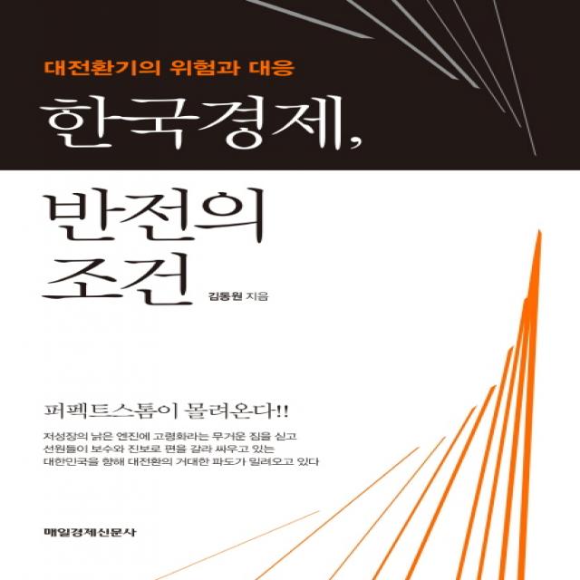 한국경제 반전의 조건:대전환기의 위험과 대응 매경출판