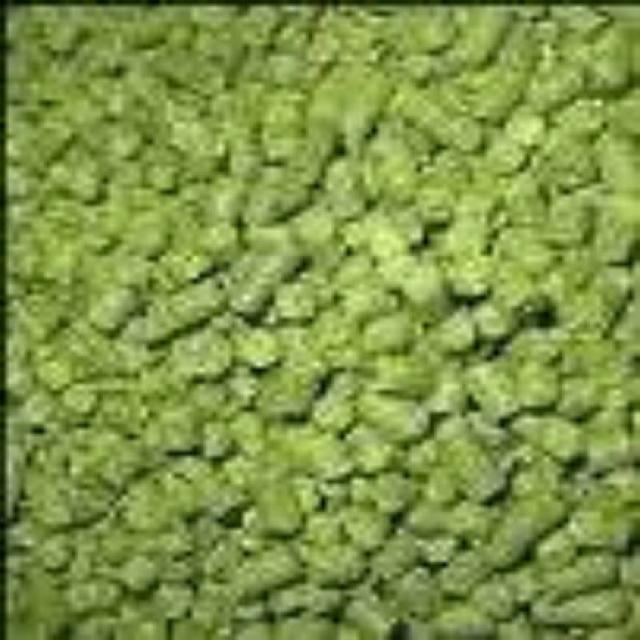 Learn To Brew LLC Magnum Hop Pellets for Home Brewing 3oz 홈 브루 잉 85g을 위해 LLC 매그넘 홉 펠릿을 추출하는 방법 배우기, 1