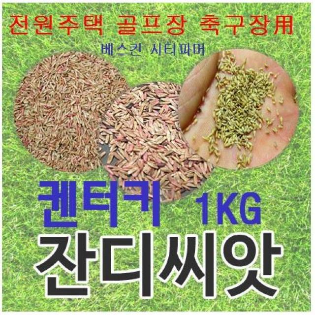 [정원 골프장 법면용] 켄터키블루그라스 잔디씨 1kg 10평분량/무료배송/발아율 80%이상/잔디씨 잔디씨앗 양잔디씨 잔디씨앗