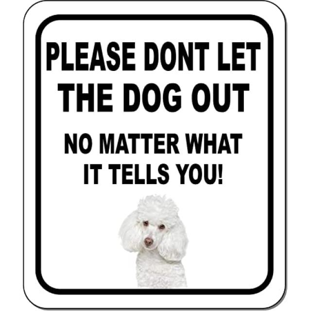 푸들 알루미늄 복합 야외 기호 8.5 8.5 x 10에 관계없이 개에서 나가지 마십시오., 본상품, 본상품