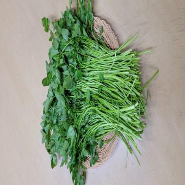 큰솔 친환경 유기농 미나리 200g, 1개