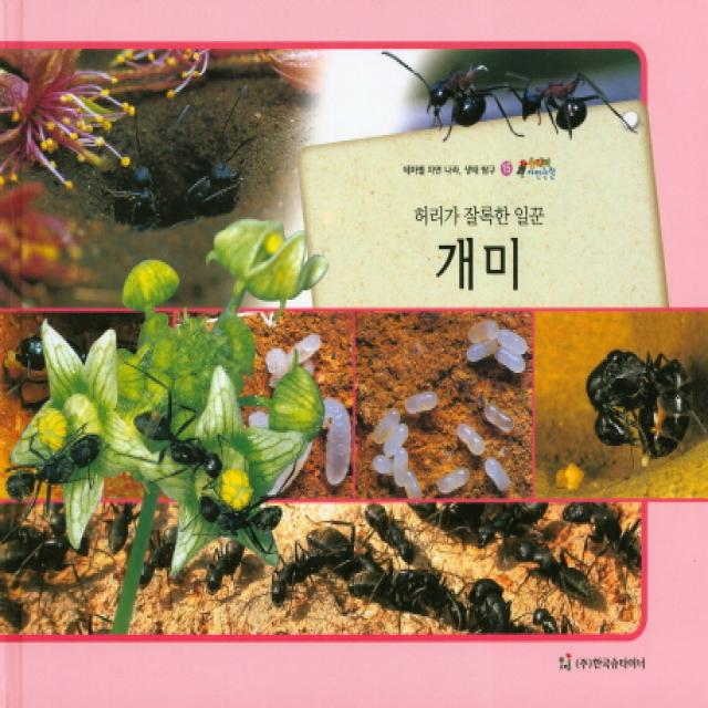 허리가 잘록한 일꾼 개미:테마별 자연 나라 생태 탐구, 한국슈타이너