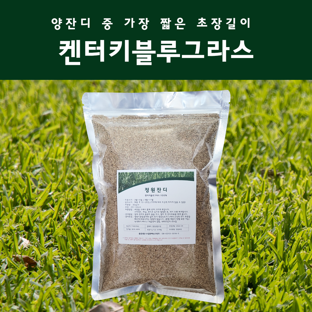 정원잔디 켄터키블루그라스 (약5~20평) 250g/500g/1kg 천연잔디씨앗, 정원잔디종자(250g)