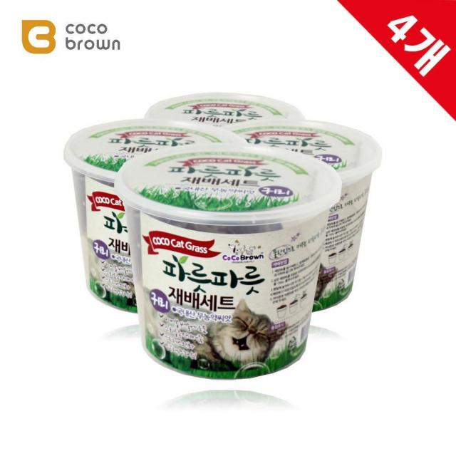 무농약으로 재배해주께 귀리 4개 2개 캣닢 캣글라스씨앗 귀리키우기 고양이진정제 고양이캣닢가루 보리씨앗 캣닙, 1개