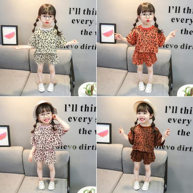 달 산토끼 작은 달콤한 레오파드