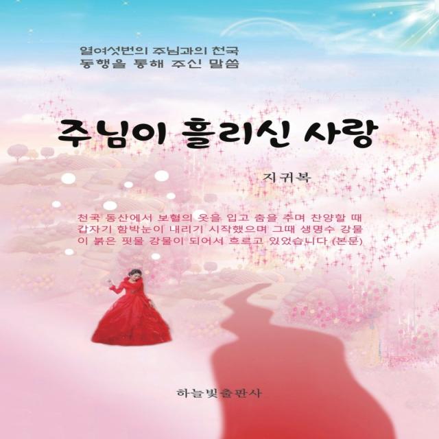 주님이 흘리신 사랑:열여섯번의 주님과의 천국 동행을 통해 주신 말씀, 하늘빛출판사