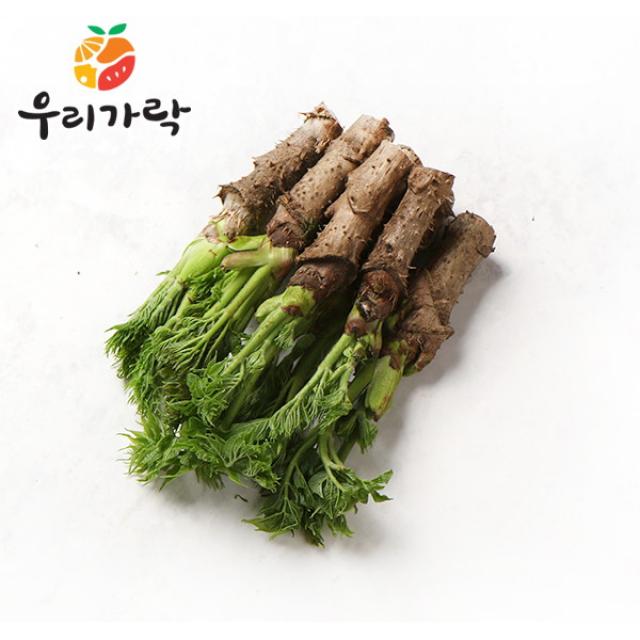 [우리가락] 참두릅 150g 이내, 상세 설명 참조