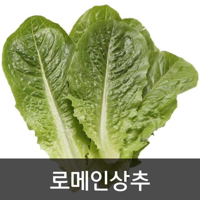 약수농장 로메인상추 2kg, 1박스