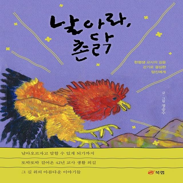 날아라, 촌닭:한평생 교사의 길을 걷기로 결심한 당신에게, 정승수, 북랩