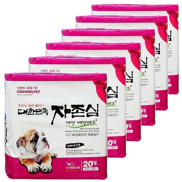 가온 자존심 초대형패드 20매 6개