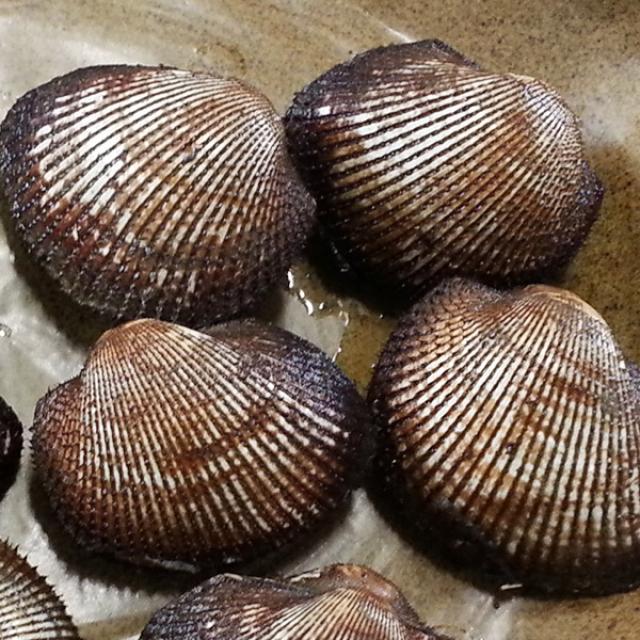 오병이어농산 피꼬막 피꼬막2kg 특대 