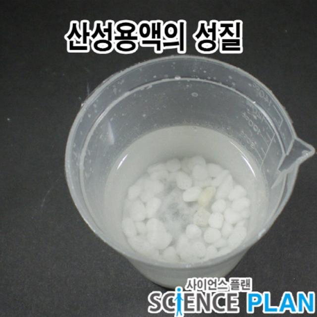 엑스사이언스 초등과학실험 산과염기 [산성비의 영향] 산성용액의 성질, 5인