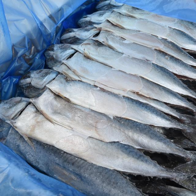 (주)푸드마을 자반고등어 8.8kg내외 고등어, 1개, 자반고등어 8.8kg
