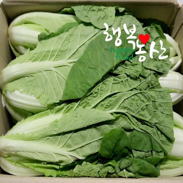 행복농산 싱싱한 얼갈이배추, 1box, 4kg내외