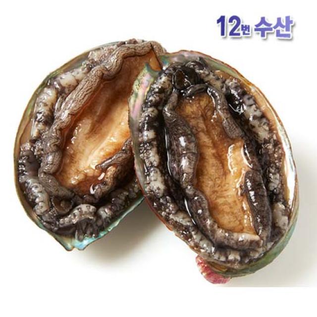 통영12번수산 국내산 전복 1kg, 1봉, 중1kg