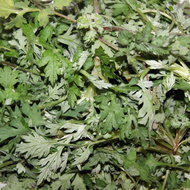 오병이어농산 자연산 쑥, 쑥 500g