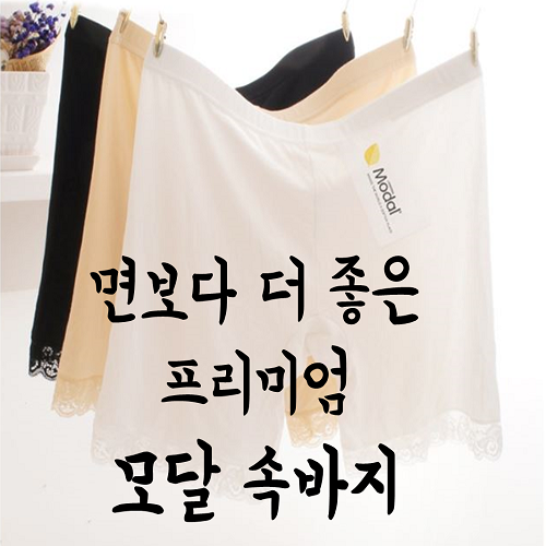 마른파이브 면보다 더 좋은 천.연.모.달. 프리미엄 속바지