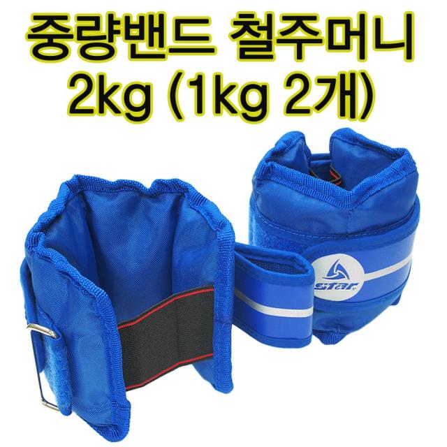 스타 중량밴드 2kg 철주머니 모래주머니 납주머니 1세트, 2KG (1kg*2개)