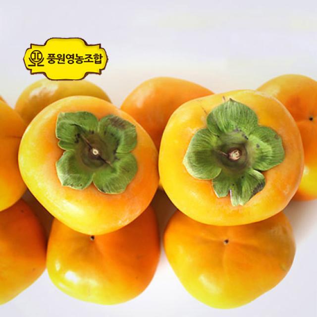 풍원영농조합법인 달콤한 경남 햇 단감 가정용흠과 경남단감 흠과 사이즈 혼합 5kg 1박스
