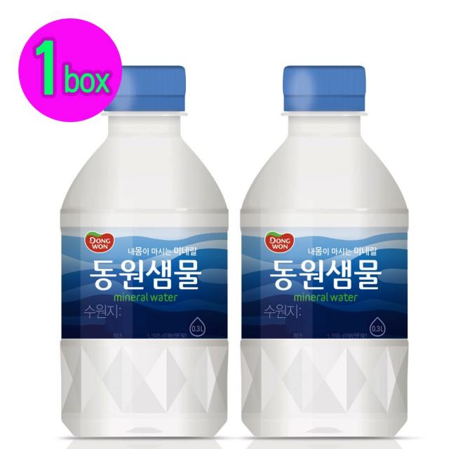 내몸이 마시는 미네랄 동원샘물 300ml (20페트) 미네랄워터, 1박스