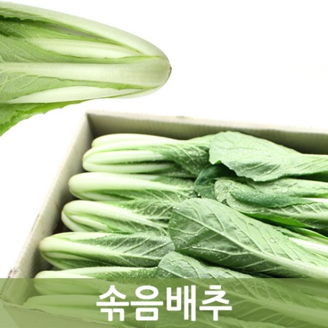 두리반농산 솎음 얼갈이배추 4kg, 1박스