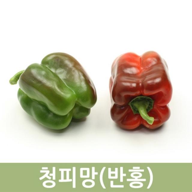 두리반 청피망(반홍) 10kg, 1박스