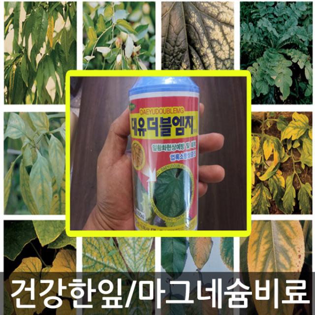 푸른텃밭세상 더블엠지 500ml