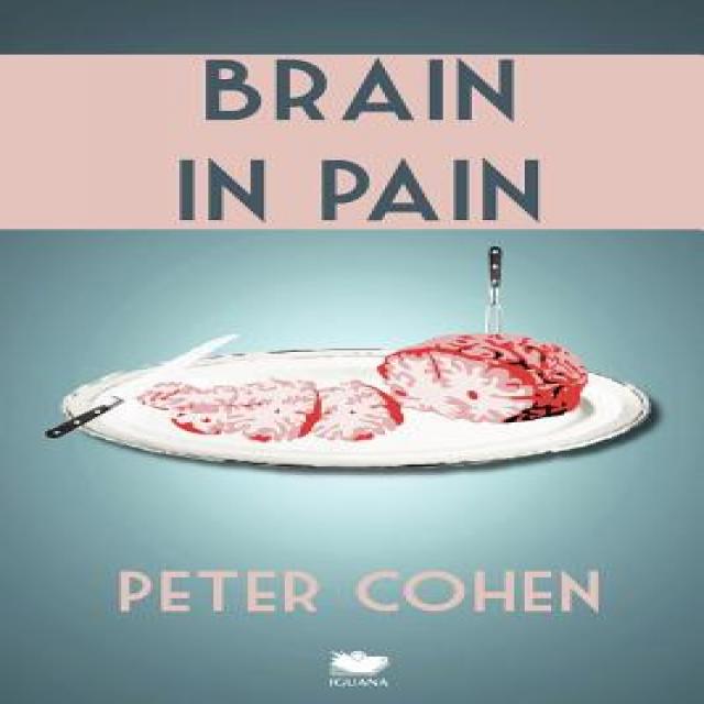 Brain in Pain: A Wounded Healer's Heart-Wrenching and Heart-Warming Guide to Schizophrenia Paperback, Iguana Books