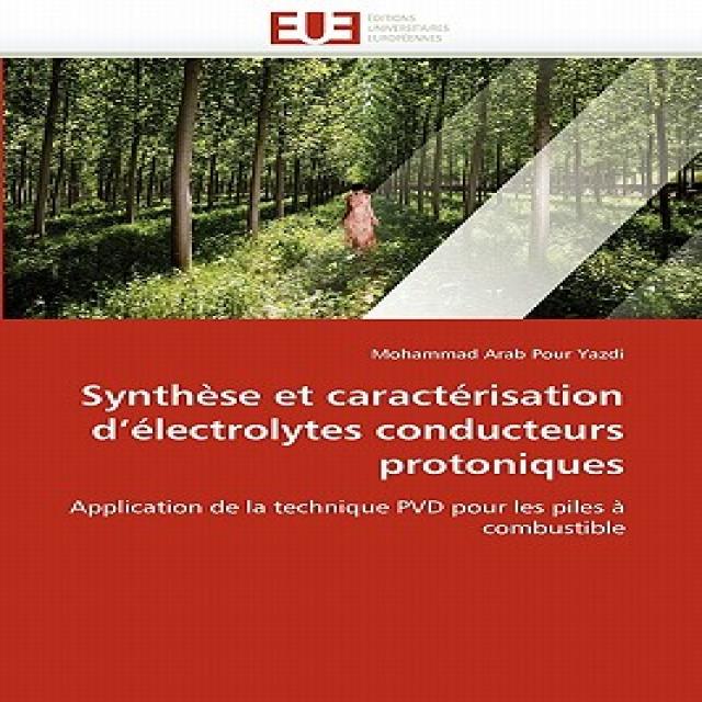 Synthese Et Caracterisation D Electrolytes Conducteurs Protoniques = Syntha]se Et Caracta(c)Risation D..., Univ Europeenne