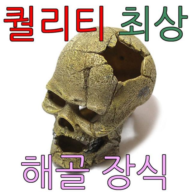 KW 아디펫샵 도핀 공룡뼈 해골 장식 거북이 휴식처 도마뱀 은신처, 1개