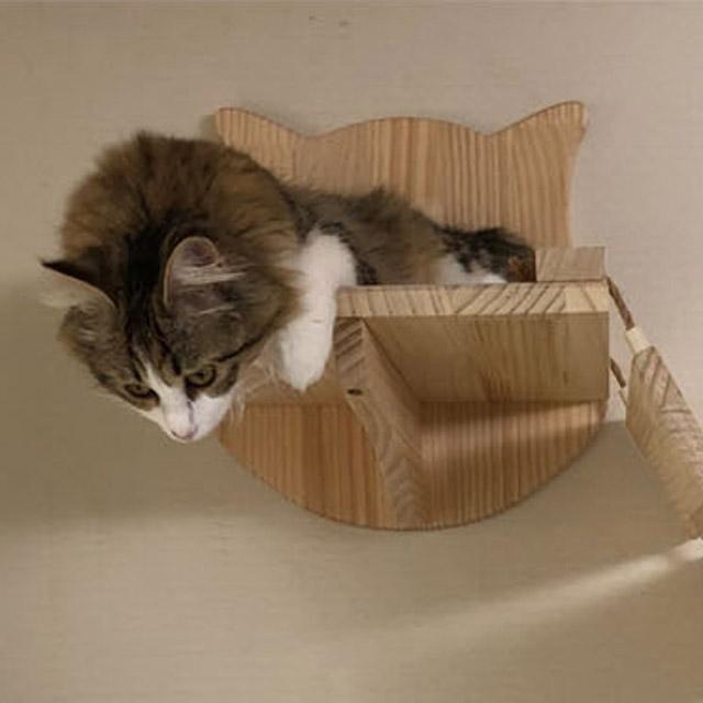 쁘띠패츠 고양이 연결선반, 1개