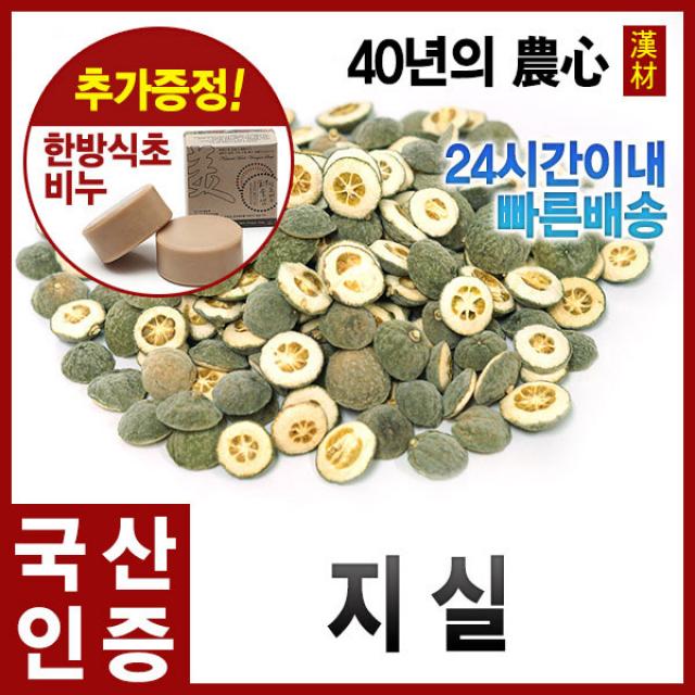 자애인 지실300g 탱자나무열매 어린탱자 경북영천 국내산 300g 1개