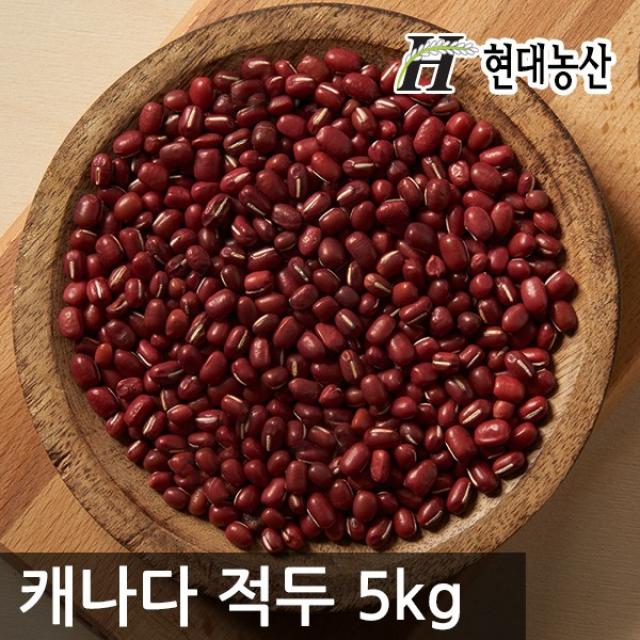 현대농산 캐나다 적두5kg(팥), 1개, 5kg