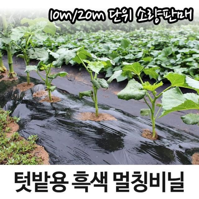 세원비닐 텃밭용 멀칭비닐 10m 20m 소량판매 마늘 양파 고추비닐, 흑색