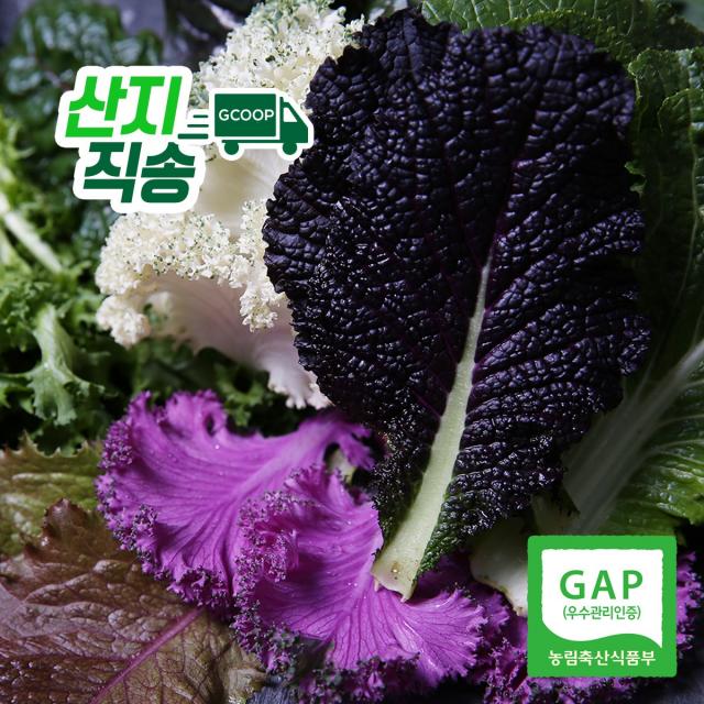 당일수확 GAP인증 쌈채소 2종 800g, 1박스, 쌈채소 적근대 400g + 적겨자 400g