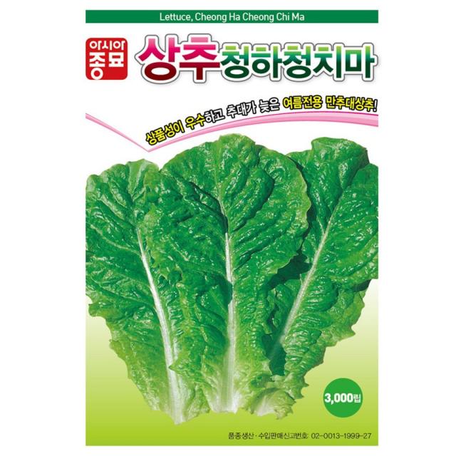 아시아종묘 상추씨앗 청하청치마 (6만립)